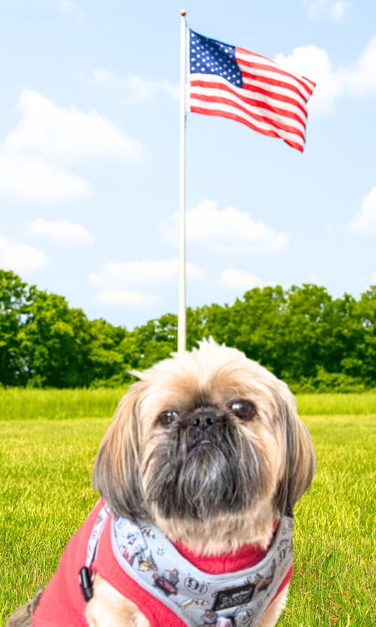 Brewing Hope: Supporting K9s For Warriors