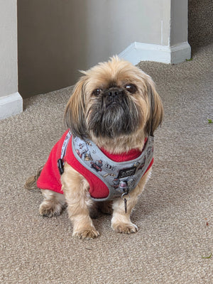 Message from the Founder