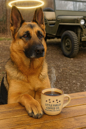 Trooper’s Tanzania – Medium/Light Roast Ground Coffee (12oz) - Little Farley Coffee Co.