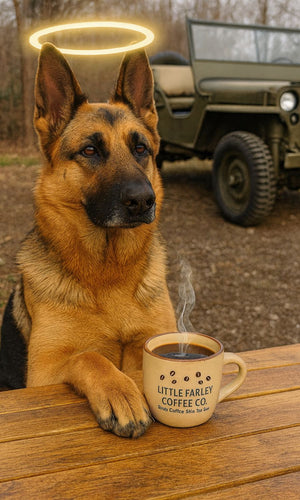 Trooper’s Tanzania – Medium/Light Roast Ground Coffee (12oz) - Little Farley Coffee Co.