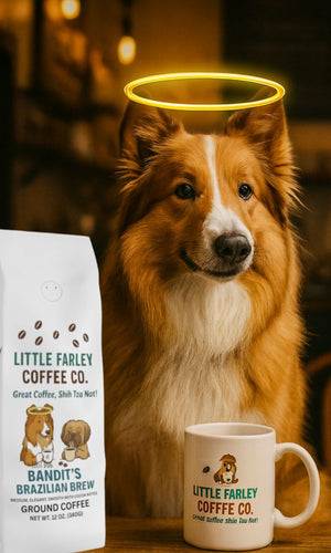 Bandit’s Brazilian Brew – Medium Roast Ground Coffee (12oz) - Little Farley Coffee Co.