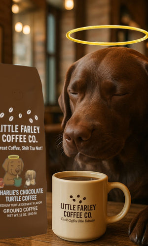 Charlie’s Chocolate Turtle Coffee – Medium Roast Ground Coffee (12oz)