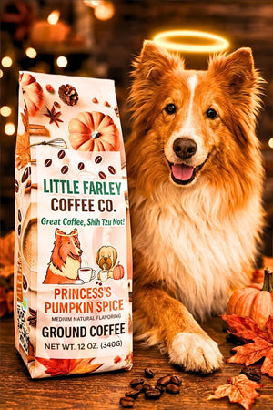 Princess’s Pumpkin Spice – Flavored Medium Roast Ground Coffee (12oz) - Note: Packaging design may vary while supplies last. - Little Farley Coffee Co.