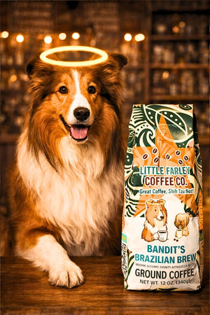 Bandit’s Brazilian Brew – Medium Roast Ground Coffee (12oz) - Little Farley Coffee Co.